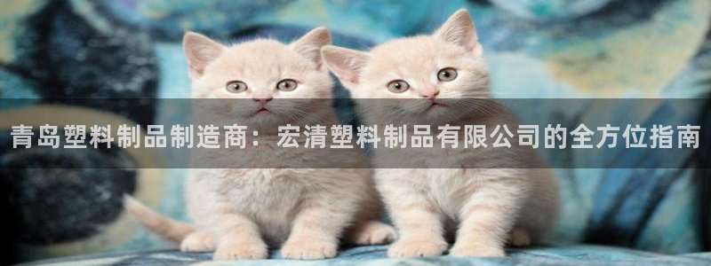 太阳成集团娱乐网站：青岛塑料制品制造商：宏清塑料制品有限公司