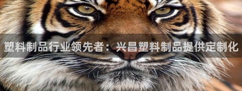 太阳集团网投：塑料制品行业领先者：兴昌塑料制品提供定制化