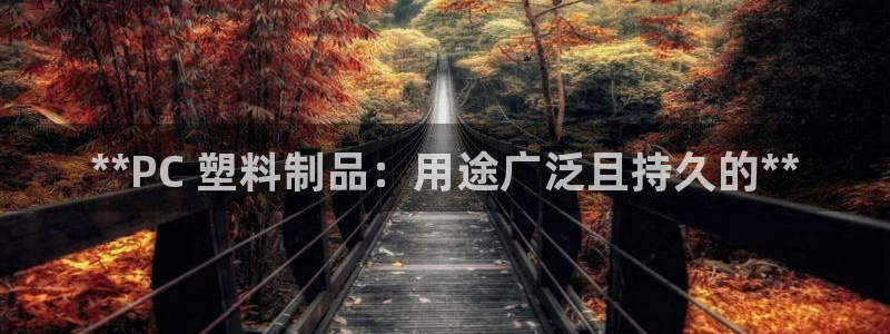 太阳科技集团：**PC 塑料制品：用途广泛且持久的**