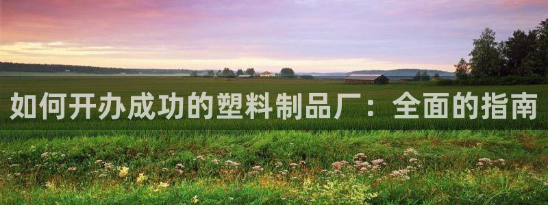 太阳集团首页：如何开办成功的塑料制品厂：全面的指南