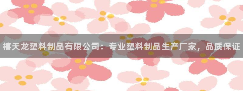 太阳集团城娱6543官网：禧天龙塑料制品有限公司：专业塑料制