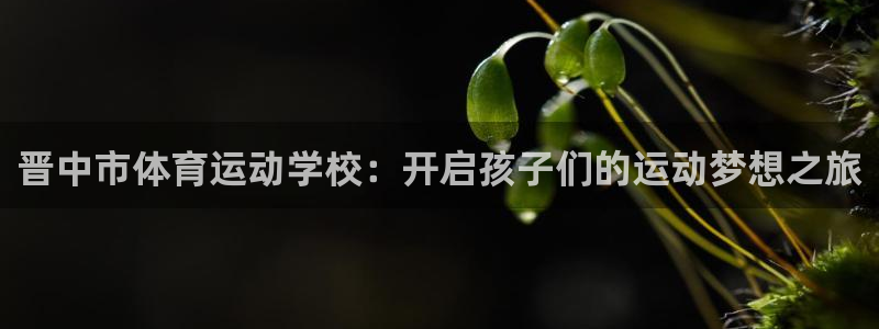 betway西汉姆联官网：晋中市体育运动学校：开启孩子们的运动梦想之旅