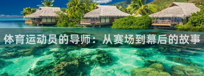 betway西汉姆官网：体育运动员的导师：从赛场到幕后的故事